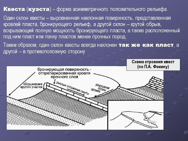 Квеста (куэста) – форма асимметричного положительного рельефа.  Один склон квесты – выровненная наклонная